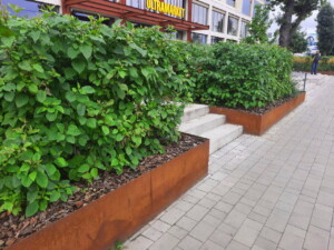 подпорная стенка кортен